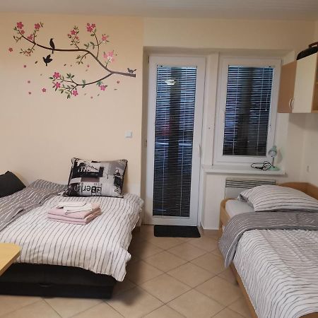 Apartma Gaber 80 Зрече Экстерьер фото
